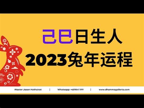 己巳 2023